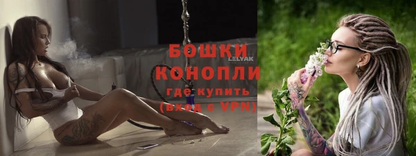 spice Аркадак