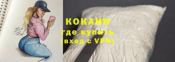 гидра Арсеньев