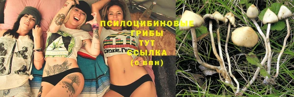 spice Аркадак