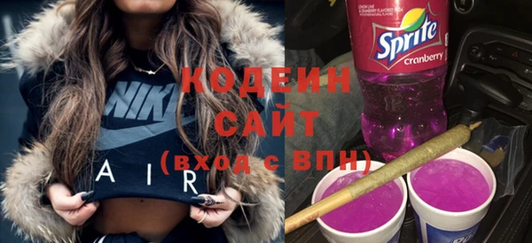 гидра Арсеньев