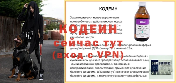 гидра Арсеньев